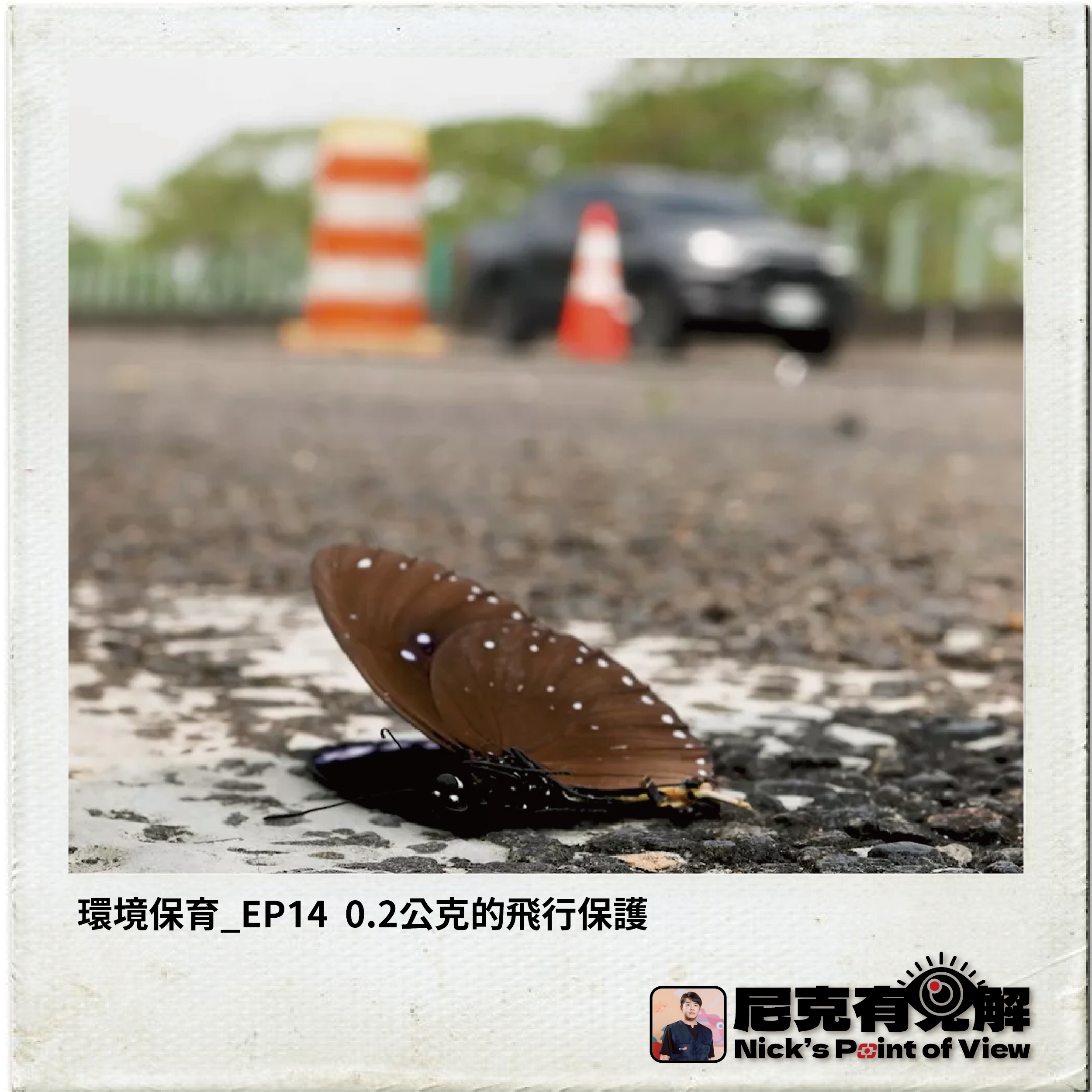 EP14 0點2公克的飛行保護